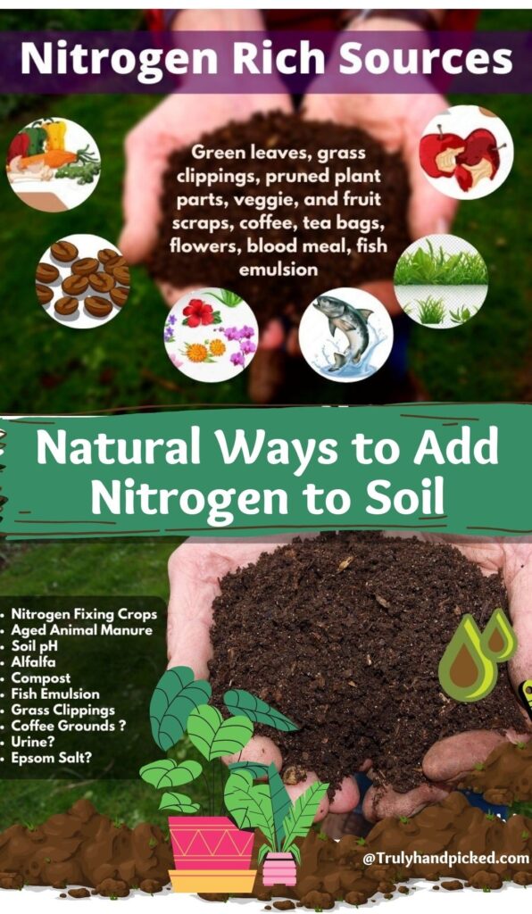 How to Add Nitrogen to Your Soil Nitrogen Deficient Plants