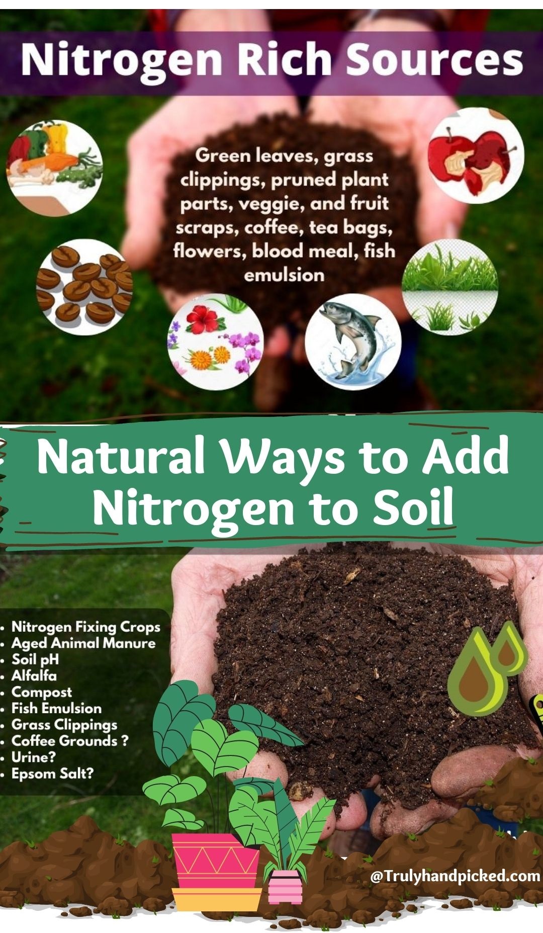 Natural Ways to Add Nitrogen to Your Soil