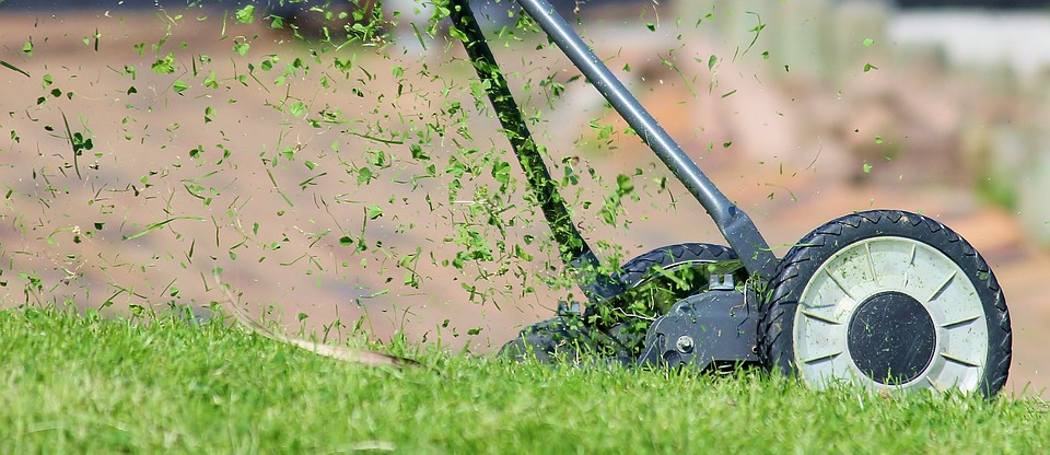 Quick Tips on Mowing Your Lawn - Best time to mow and thicker grass