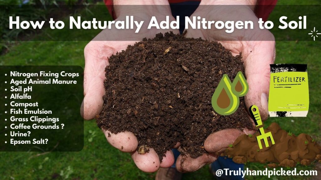 Captivating How To Get Nitrogen In Soil Picture in HD Captivating How To Get Nitrogen In Soil Picture in HD