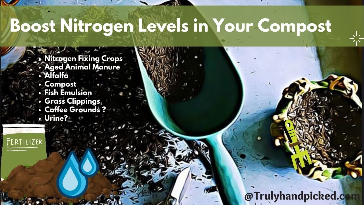 Boost nitrogen levels in your compost - nitrogen deficiency in plants