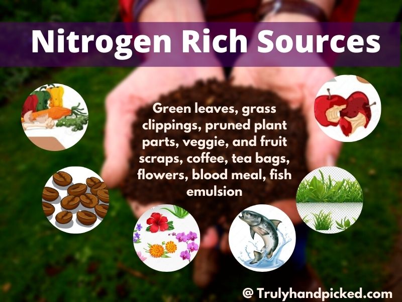 Rich Nitrogen Sources for Compost 