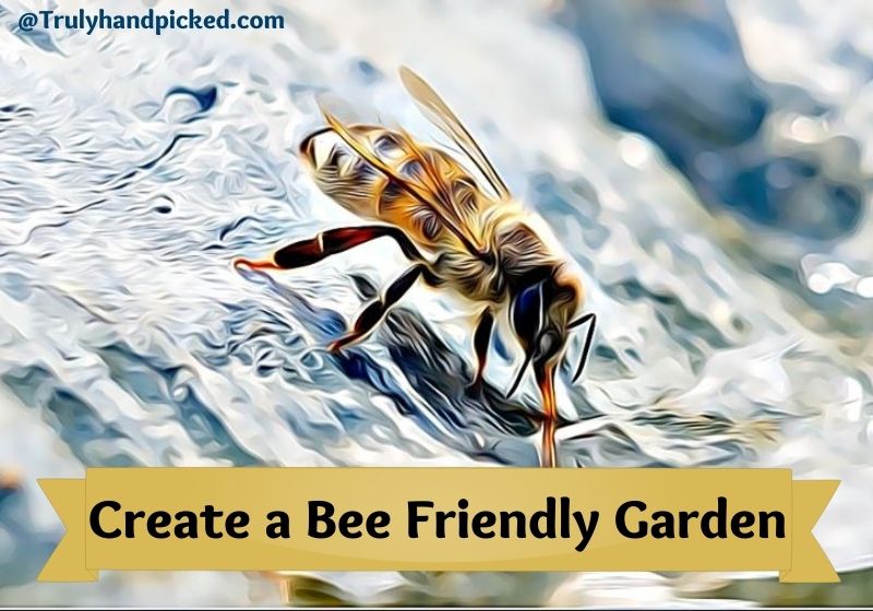 Create a Bee Friendly Garden