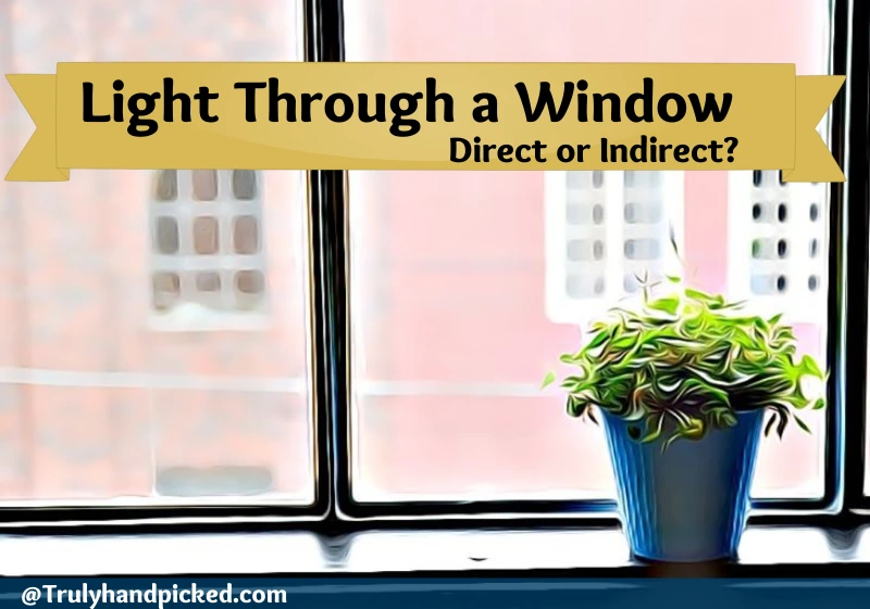 Is light through a window is considered as direct sunlight - no