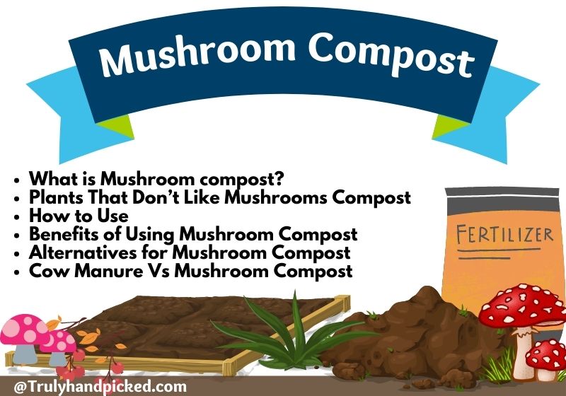 Mushroom Compost for Your Garden Benefits and How to Use