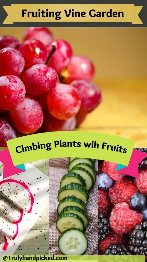 Pinterest Image Best Vining Climbing Plants for Fruits