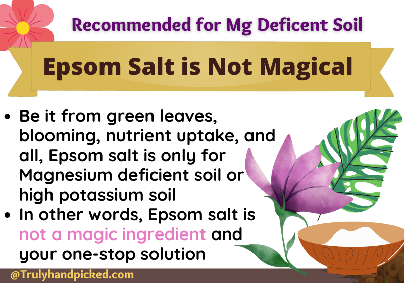 Epsom salt is magical but good for magnesium deficient soil