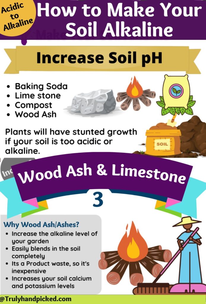 Increase soil ph Pinterest image