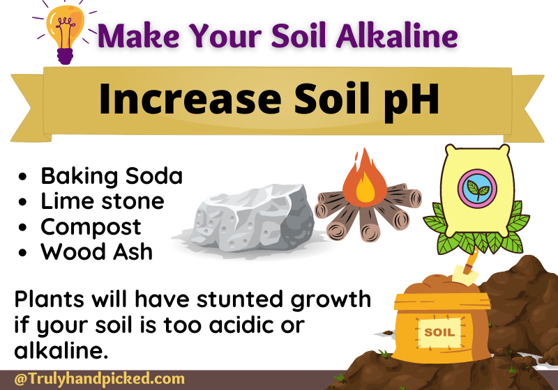 Make Your Soil Alkaline -Increase Soil pH