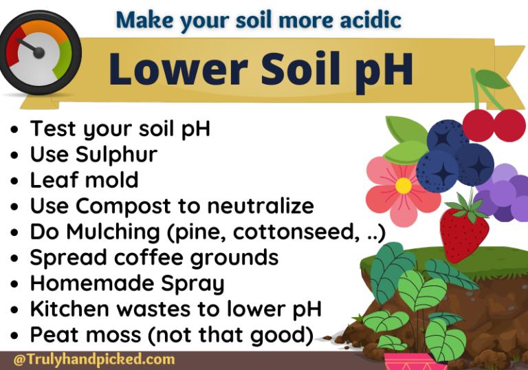 Make Soil More Acidic 8 Ways To Lower pH (Add these) Plant Care 365