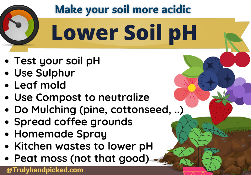 Lower pH - How to make your soil more acidic