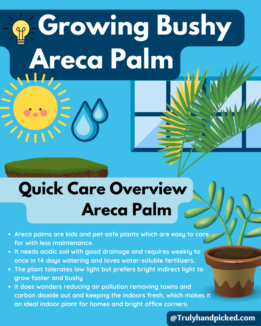 Areca Palm Quick Care Tips pinterest image