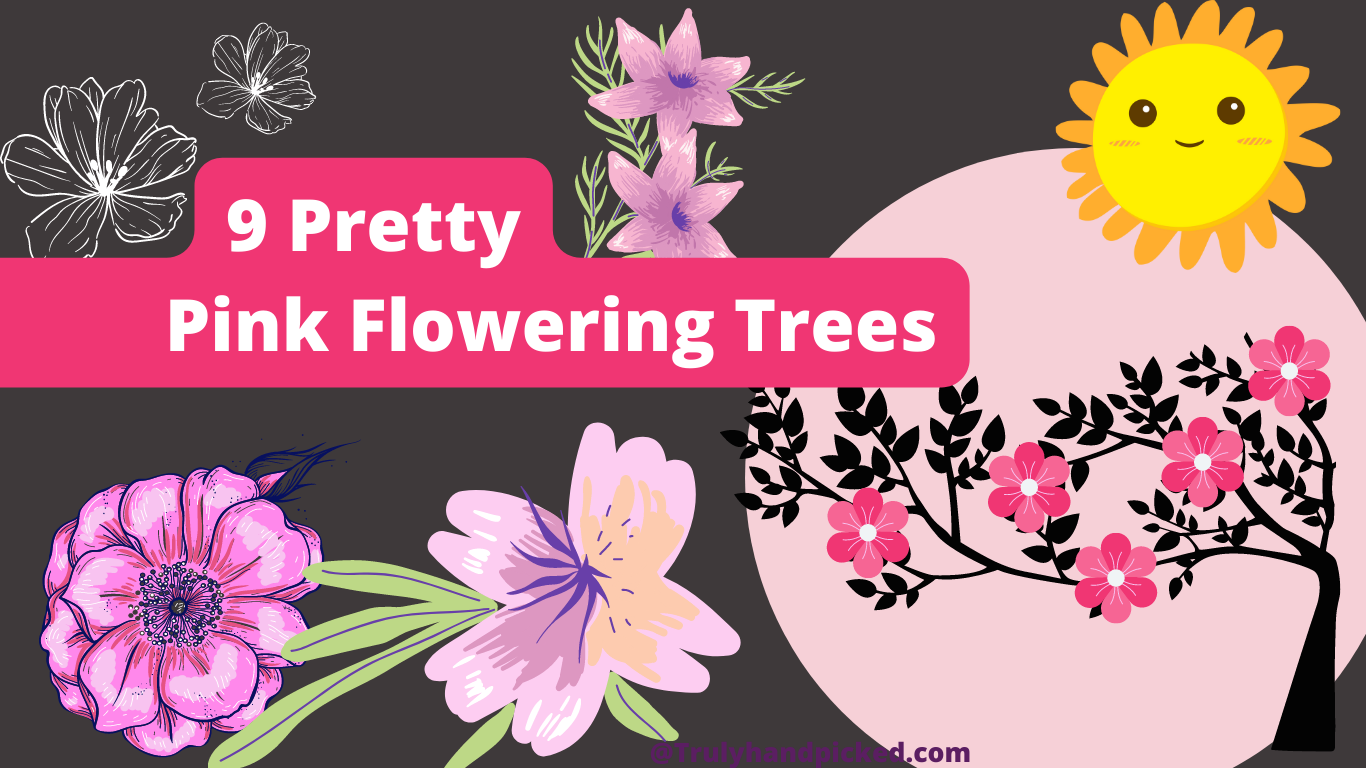 Attractive Trees with Pink Flowers