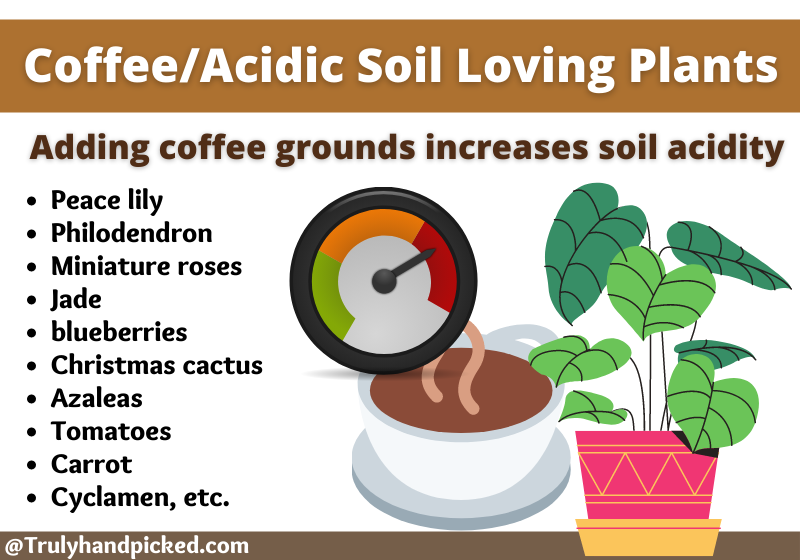 Coffee Increases Soil pH Acidic soil loving plants