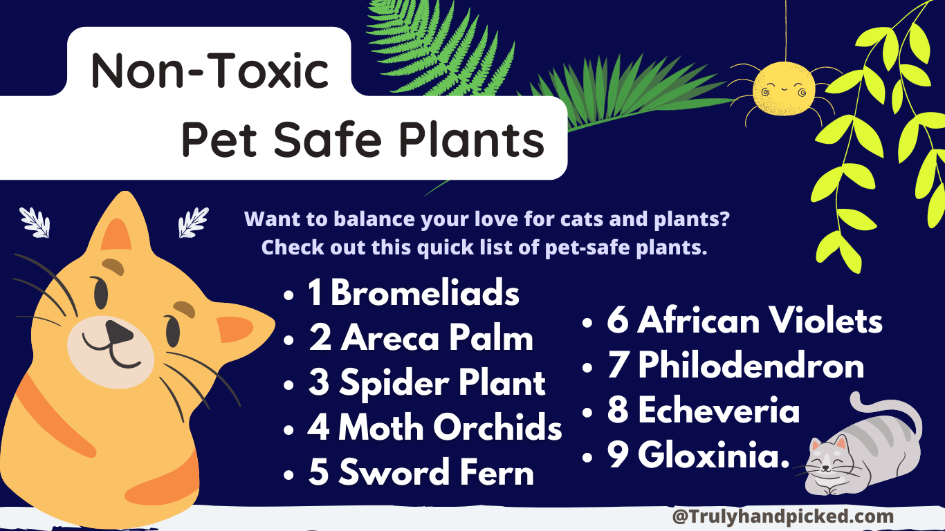 List of non toxic plants that are safe for cats