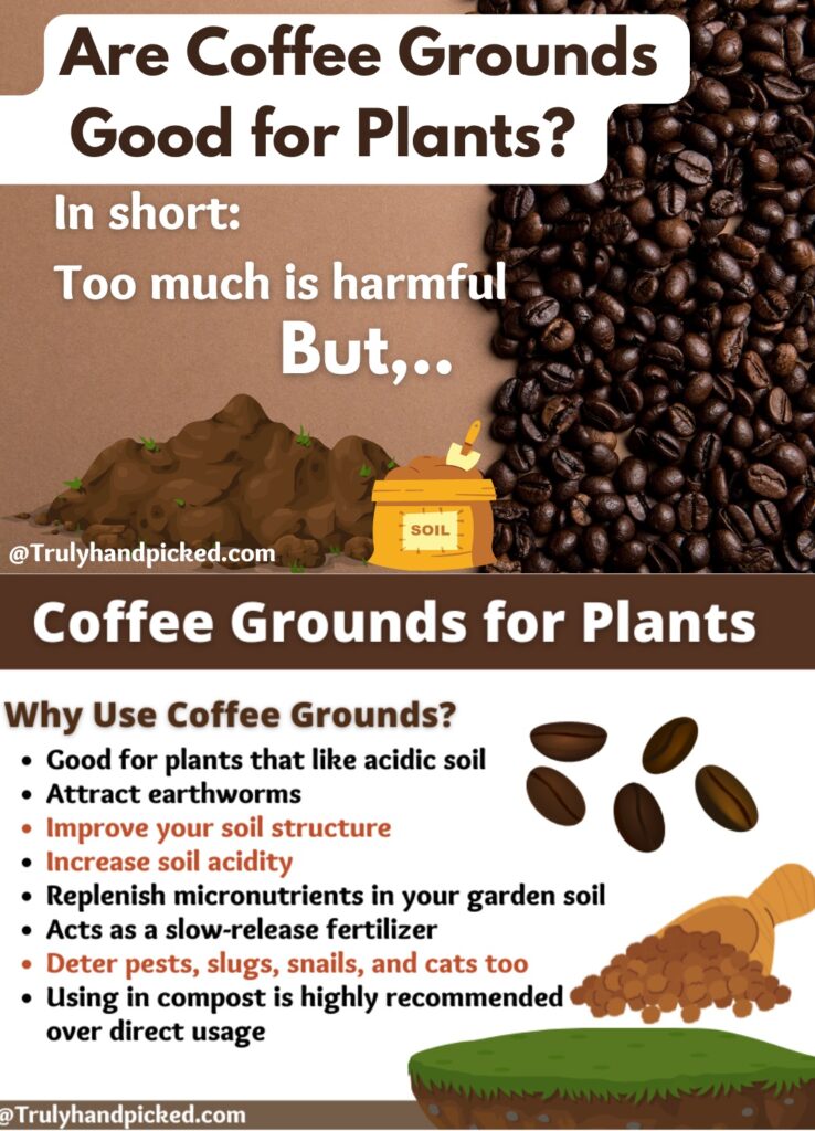 Pinterest Image: Coffee Grounds for Plants