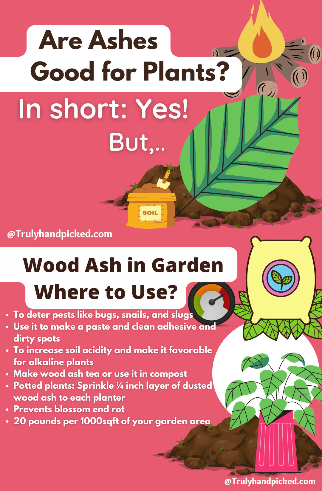 Pinterest Image Using Wood Ash in Garden - Are Ashes Good for Plants