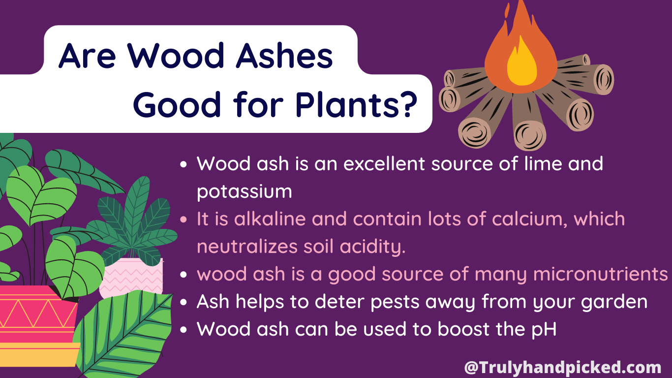 Why to use wood ash in garden benefits of wood ash
