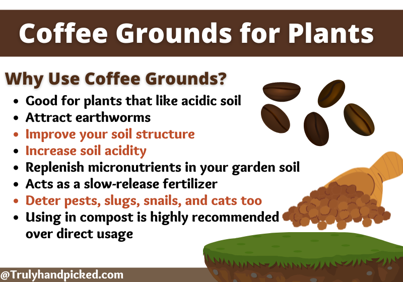 Why use coffee grounds for plants and soil