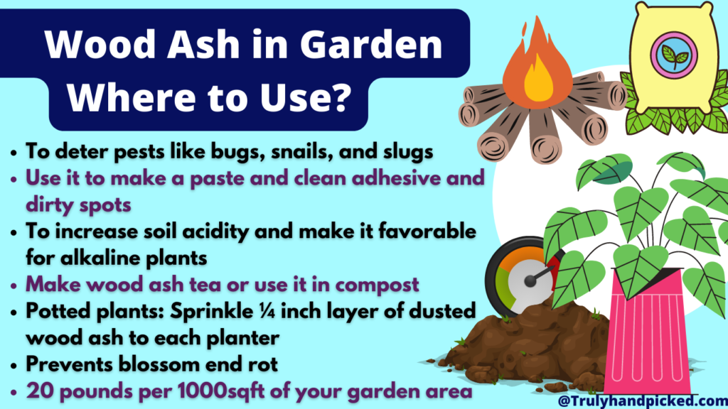 Are Ashes Good for Plants? Wood Ash as Fertilizer Plant Care 365