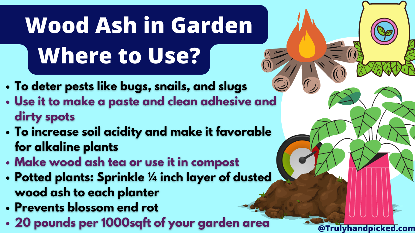 Wood ash as fertilizer where and how much to use