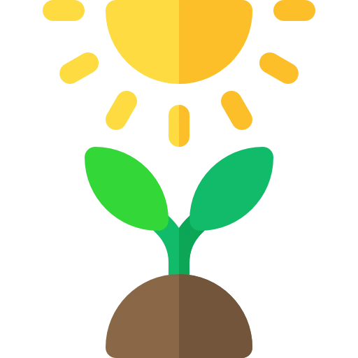Sunlight for plants