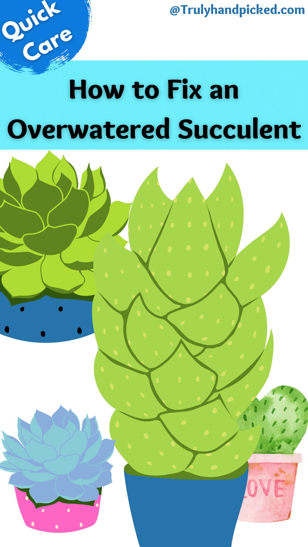Pinterest Image How to save an overwatered succulent