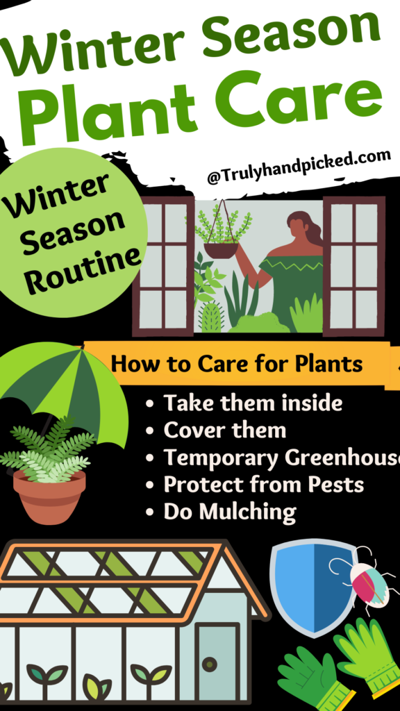Infographic long image plant care for winter months cold draft