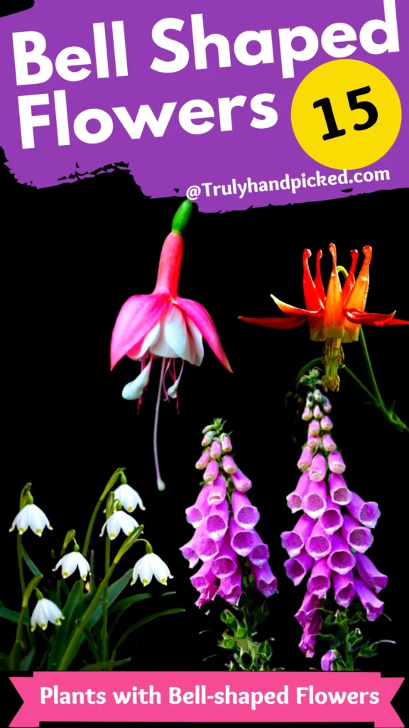  Beautify your garden with these 15 plants with bell-shaped flowers