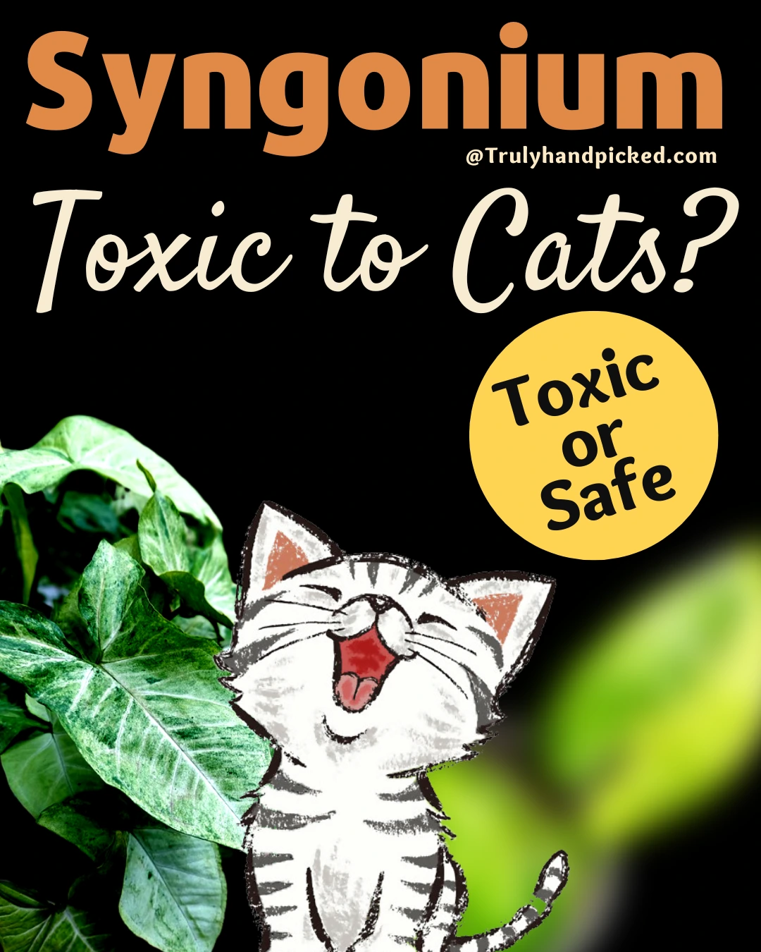 Is Syngonium Toxic to Cats Yes It Is