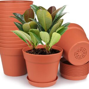 15X 6 inch Plastic Planters with Trays