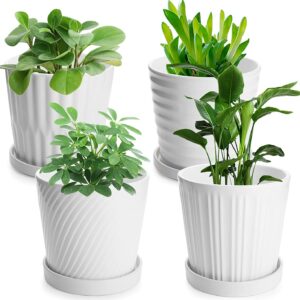6 Inch Indoor Ceramic Flower Pots