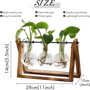 Terrarium with Wooden Stand