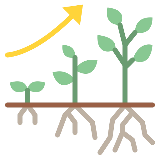 Plant growth and maturity